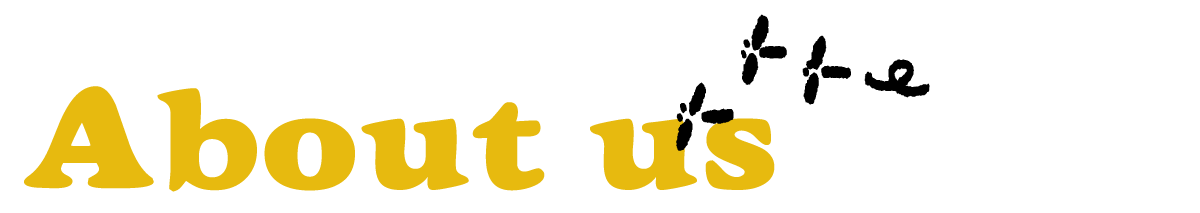 About us